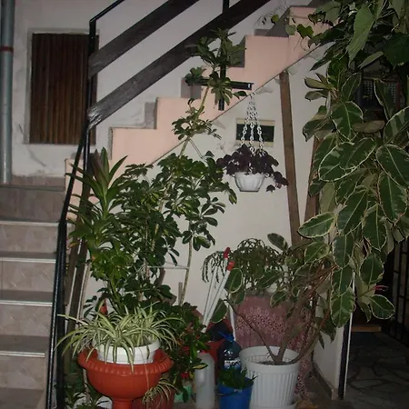 Pensión Pepina 3*